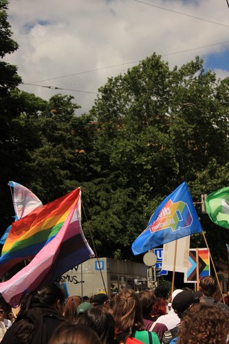 CSD2025-036.JPG