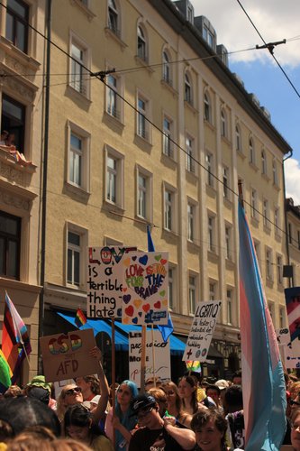 CSD2025-038.JPG
