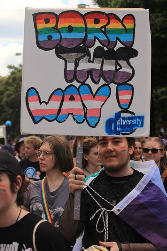 CSD2025-059.JPG
